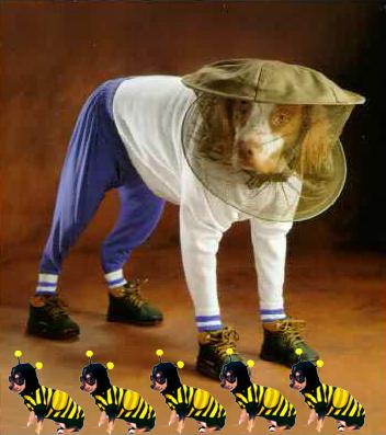 Śmieszne zdjęcia pszczelarskie.